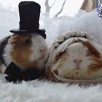 양산형 뷰<b>튜</b><b>버들</b> 웰케질림