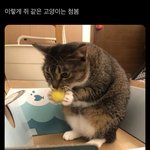 [드루와] 오늘 <b>야식</b> 메뉴 정했다