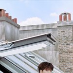 [TXT] 고양이!!!! 이건 <b>무조건</b> 고양이!!!!!