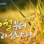 오늘 <b>단어</b> 400개 외움