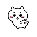 얘들아 너네 <b>광각</b> 좋아함?