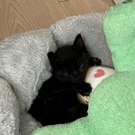 [TXT] <b>휴닝</b>가 아쿠아