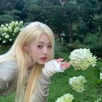장원영 <b>금발</b> <b>가발</b>이야?