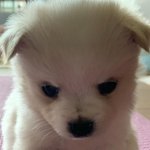 얘 유승언 <b>닮음</b>