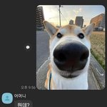 <b>버블</b> 읽는거