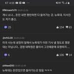 [댓글부탁해] 40대들 쓴 악플들 진짜 씹스러움