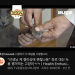 유튜브 제일 귀여운 <b>썸네일</b> 이거임