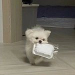 [드루와] 갑자기 가슴 <b>위쪽</b> 개아픔