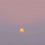 오늘 완전 <b>나른</b>하지 않냥