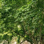 애들 <b>생얼도</b> 이쁘지 않냐?