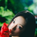 현재 국내 활동 중인 중국 출신 걸그룹 멤버