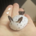 [드루와] 외모정병이 오는 이유…