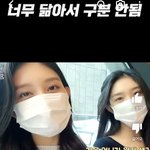 ㅇㄴ뭐임 <b>개닮음</b>