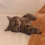 [19] 남친하고 진도 <b>에반</b>가ㅜ