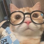 <b>고</b>2판녀 <b>밍</b>찌벼락 1일차