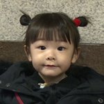 잼잼이 근황