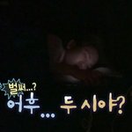 개<b>집사</b> 샤이니 키의 주말