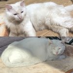 오랜만에 만난 <b>차돌</b>어멈