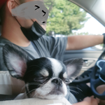 우리집 망망돌이를 소개합니다! 4탄-동생이 태어나다