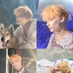 [TXT] 내가 덕질을 하고있는건지,,