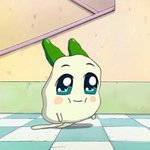 [ㅈㄱㄴ] <b>넷친</b> 있는애들아