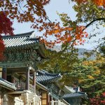 Love of <b>my</b> life ~