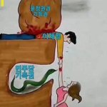 현재 대한민국 상황 한짤<b>요약</b>