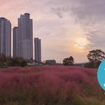 훈훈한 <b>소식</b>이 많은 주말입니다!