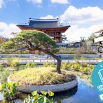 볼거리 많은 토요일 입니다!