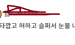 화란 후기 모음ㄷㄷ