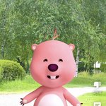 [드루와] 루피 <b>홍박</b>사 개귀엽네