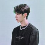 이정현은 <b>늑대</b>냐 강아지냐