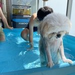 도파민 <b>중독</b> 너무 힘들다