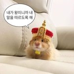 성인 땡! 하고 <b>술집</b>가는 거 어케생각함?