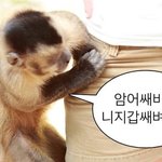 와 10월 돈 개털리는 달