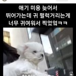 윈터가 이거에 좋아요 <b>누름</b>