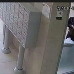 이스라엘 전쟁 관련 하마스 팩트정리(편향된 톡선글)