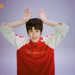 <b>소희</b> 과사 제발 멈춰
