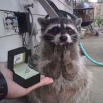 결혼 <b>반지</b> 받았어