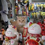 고사장~<b>장사</b>는 잘 돼?
