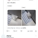 플레이브 이거 진짜냐