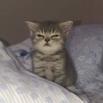 [19] <b>무난</b>한 후드티 브랜드 뭐있어