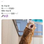 [TXT] #<b>me</b> now