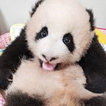 [드루와] 와 이제 ㄹㅇㄹㅇ공통시험 <b>본대</b>