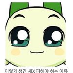 맑은눈
