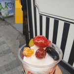 탕후루 <b>빙수</b> 먹어봤다