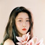 미국여행 다녀왓는데 방탄블핑은 찐임