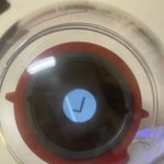 [꼭조언부탁] 스키즈 응원봉 ver.2 샀는데 뒤에 <b>LED</b>가