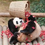 방탄 블핑 중국<b>멤</b> <b>일본멤</b>이 없네