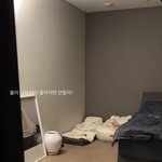 핱시 <b>송다</b>은 강아지